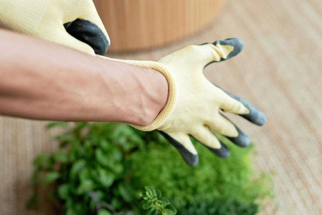 beginner gardening tips