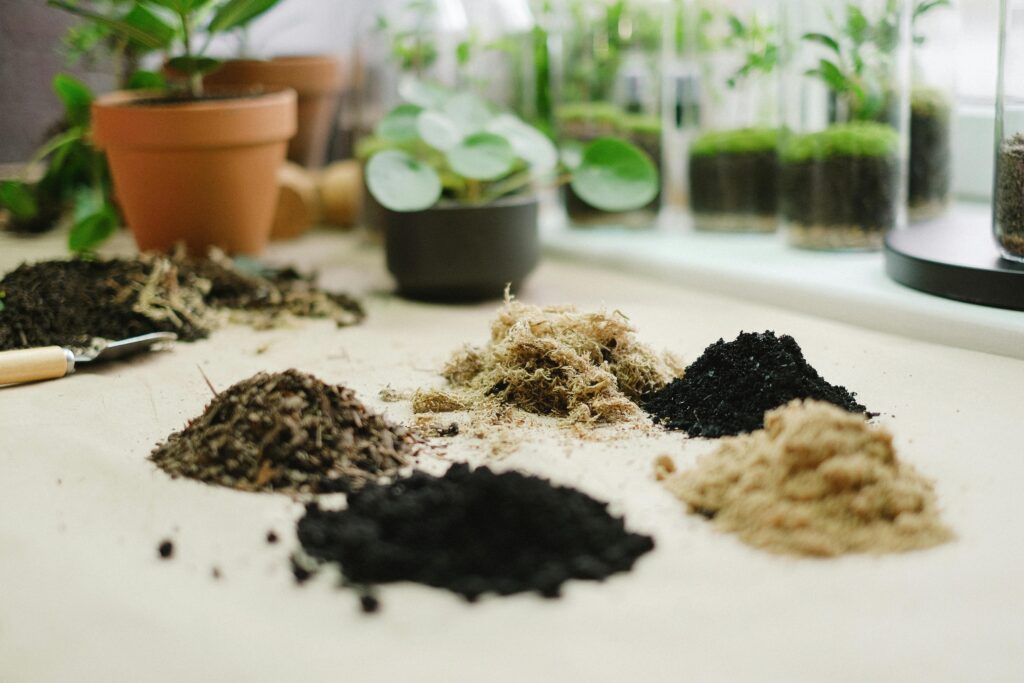 beginner gardening tips