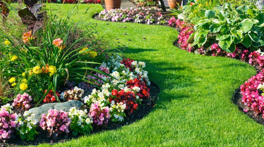 Aesthetic gardening