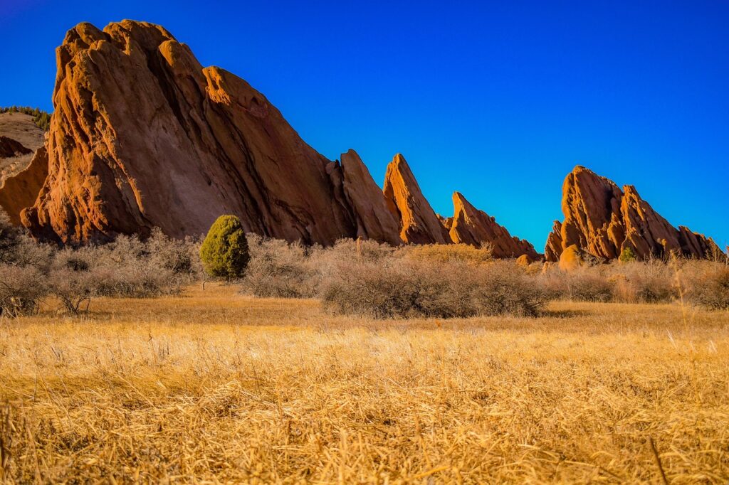 Summer Family Road Trip Ideas
