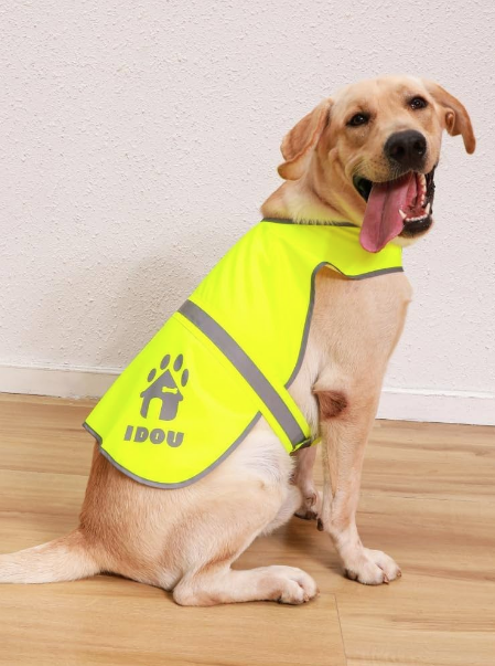 Best Pet Accessories