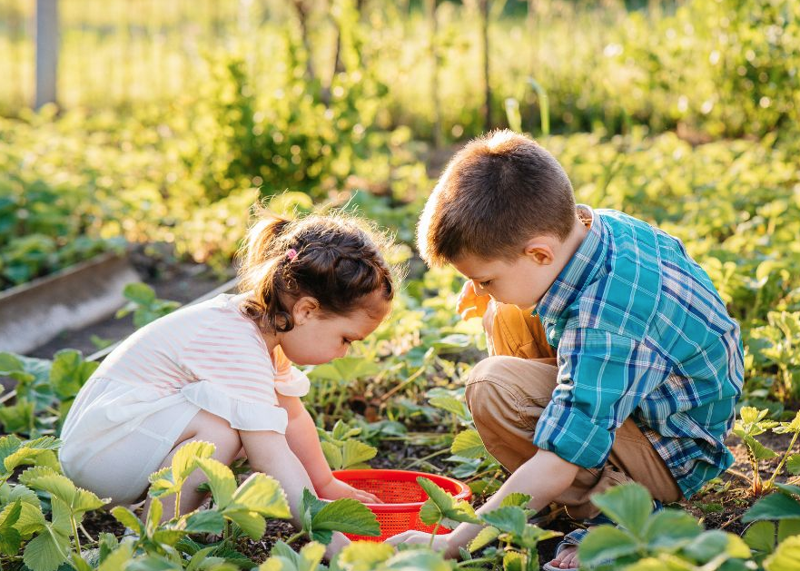 Eco-conscious Children
