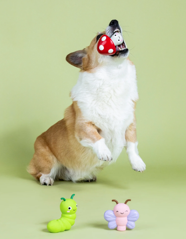 Eco-friendly Pet Toys