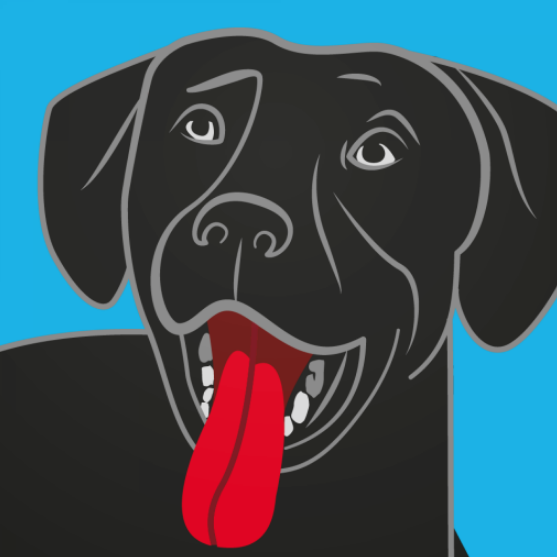 How to Travel With Your Dog