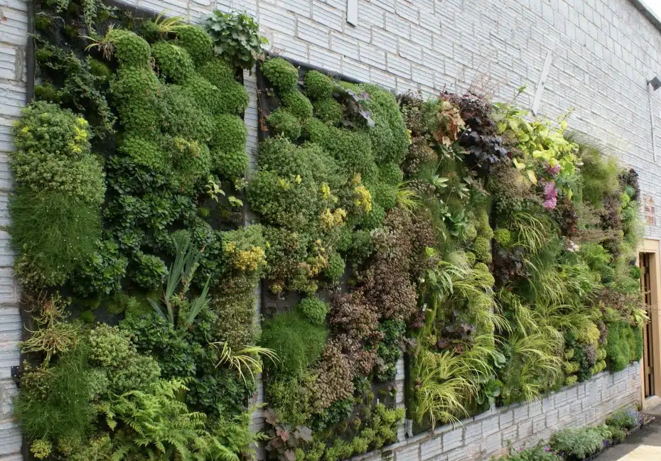 Vertical Gardening Ideas