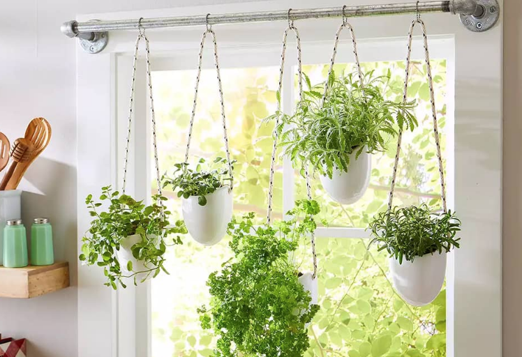 Vertical Herb Garden