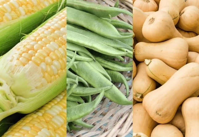 Companion Planting Guide