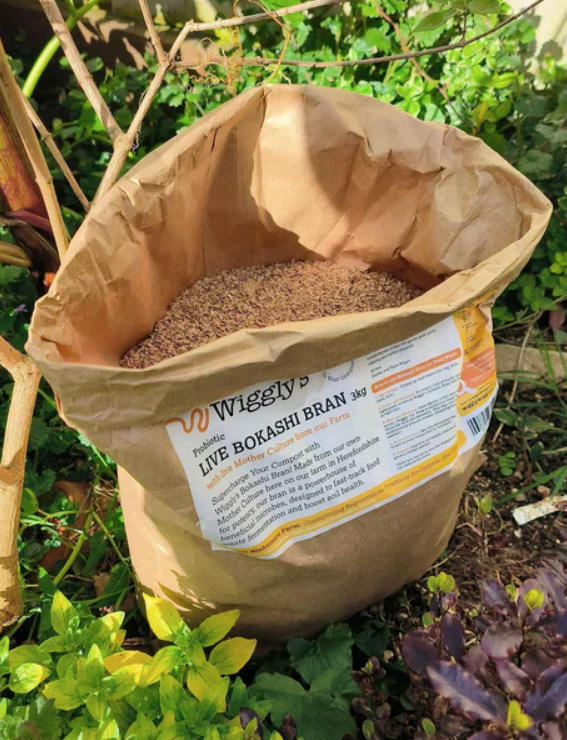 How to Start a Compost Bin